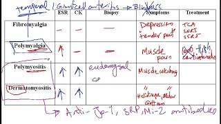 Video 189: Understanding Myopathies: Fibromyalgia, Polymyalgia, Polymyositis, and Dermatomyositis