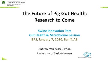 The Future of Pig Gut Health: Research to Come | Andrew Van Kessel