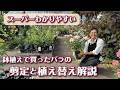 【バラの育て方】苗で買ったバラの花後のお手入れ解説