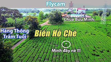 Flycam Xuyên Việt: Biển Hồ Chè - Hàng Thông Trăm Tuổi - Chùa Bửu Minh
