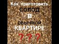 моЁ питиЁ! Приготовление солода в условиях обычной квартиры! Проращивание ячменя