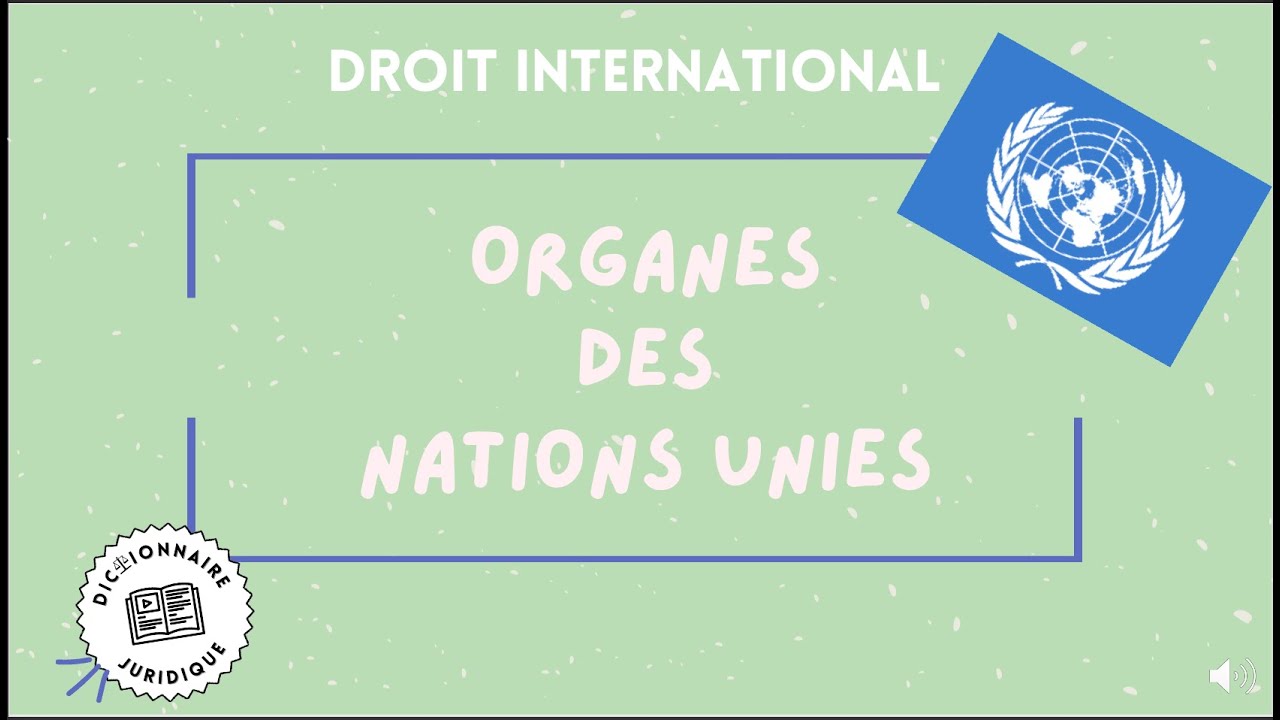 Les ORGANES des NATIONS UNIES - YouTube