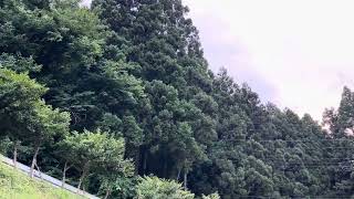 森山直太朗さんの夏の終わり歌ってた、心の中で