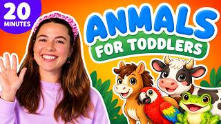 Learn Animals for Toddlers with Betsy Bloom! - Toddler Learning with Betsy Bloom - 20 Minutes