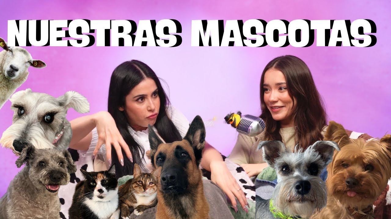 Se llevaron a mi borrego a un “rancho” l Las Alucines l 01x47