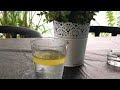 Dhanif science  vegetable oil and water