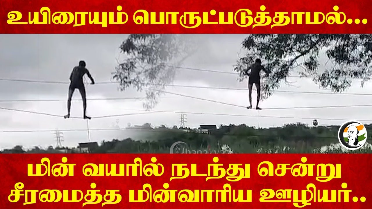 உயிரையும் பொருட்படுத்தாமல்... மின் வயரில் நடந்து சென்று சீரமைத்த மின்வாரிய ஊழியர்.. | Tirunelveli