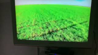 Hare coursing pre ban December ( Lee bitch ruby