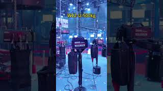 W12 U Series Stage Electric Hoist#event #stageequipment #stage #truss #light