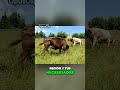 Consejos clave para elegir el mejor pasto en la ganadería bovina #ganado #cow #producción #animales