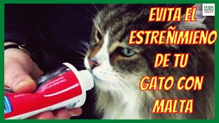 MALT FOR CAT NATURAL LAXANT FOR CONSTIPATION DUE TO HAIRBALLS IN CATS