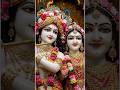 ✨ Radha Krishna Love Status 2025 | Prem Leela of Kanha Radhe | New Krishna Bhajan Shorts ✨