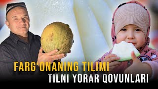 Farg‘onaning til yorar qovunlari: ular may oyigacha qanday saqlanadi?