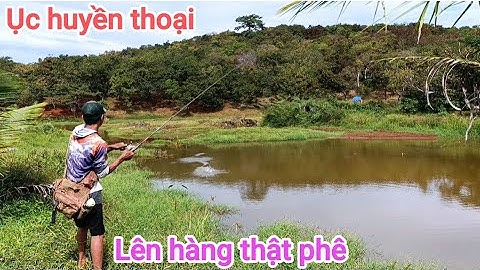 Câu cá lóc_Hành trình ngày gió săn hàng đập lớn @Hữunghị tv