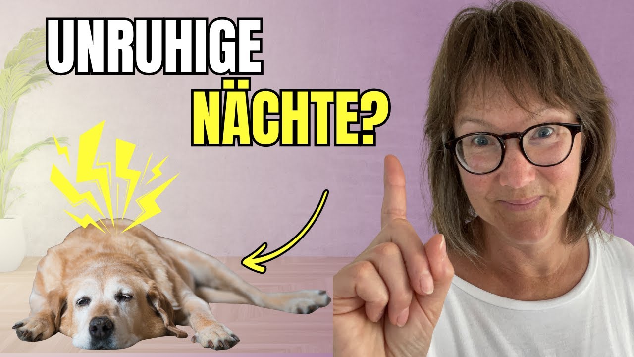 Warum dein Hund nachts unruhig ist – 3 versteckte Ursachen, die du kennen solltest!