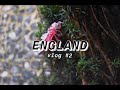 England Vlog #2 (A Swan Attacked Me, *not clickbait*)