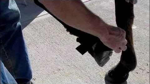 Easyboot Rx Therapy Boot Fitting