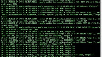 17-4   Tcpdump Data Input, Output, and Analysis