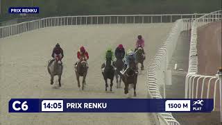 Vidéo de la course PMU PRIX RENKU