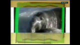 Chamada Gato Zap - Rede Cultura 111995