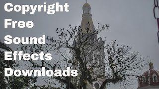 FREE SOUND EFFECTS | Crows and Church Bells | Sound Effects You Tubers Use Free | FREE DOWNLOAD