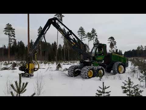 Video: Googlen tarkennetun haun temppujen käyttäminen: 6 vaihetta (kuvien kanssa)