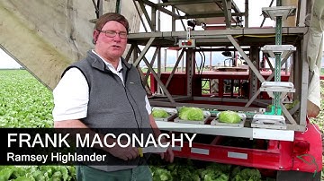 BrimaPack Lettuce Wrapper :  In-Field Automation