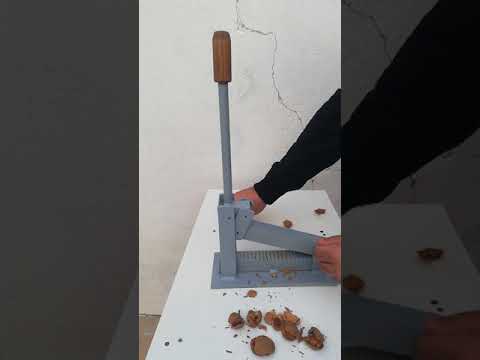 🎬 Video relacionado con cascadores de almendras
