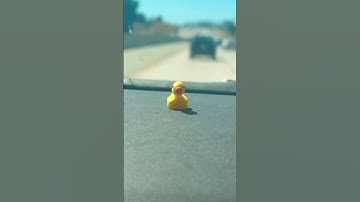 Grow this duck #growth #duckarmy #shorts #viral #3dprinting