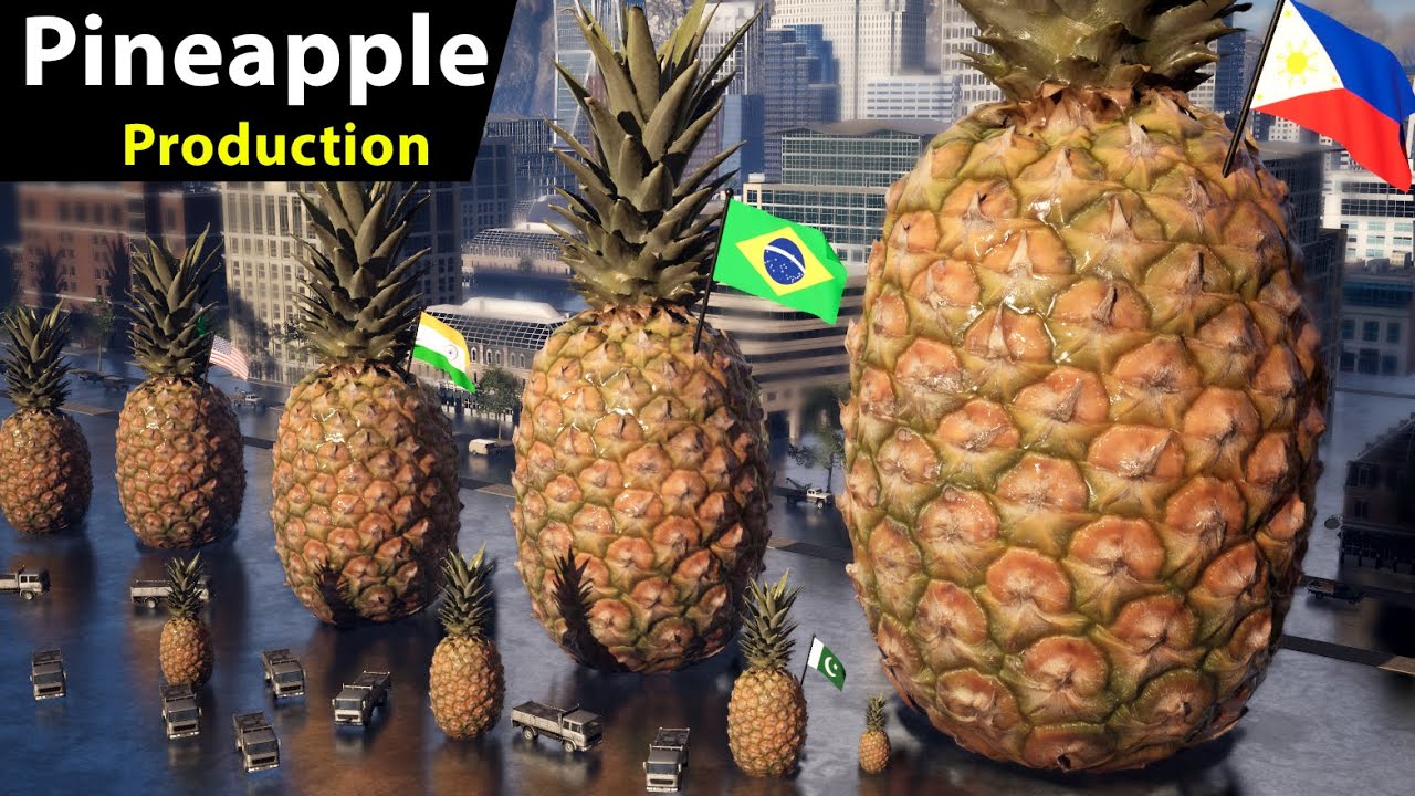 pineapple-production-size-comparison-by-country-flags-and-countries