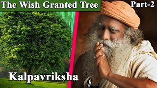 Story: The Wish granted Tree|| Part -2  || #sadhguru || #shorts