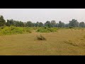 #shorts#shortvideo|paddycrops|Greenherbs|vlogs|blogs|blocks|tour|traveling|blogging|Anwar Khan Vlogs