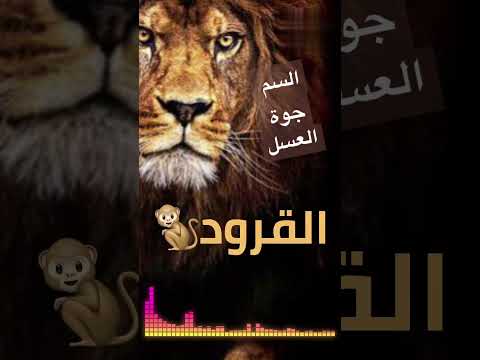 السم جوه العسل