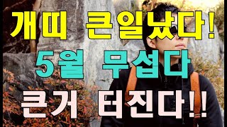 명리학으로 본 개띠의 24년 갑진년 5월의 무서운 운세(46년, 58년, 70년, 82년, 94년, 06년생…