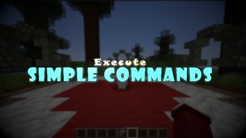 Simple Guide to the Execute Command