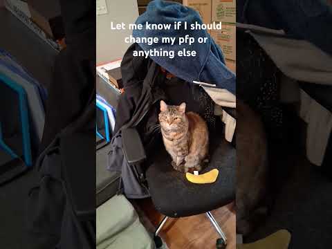 Let Me Know Down In The Comments