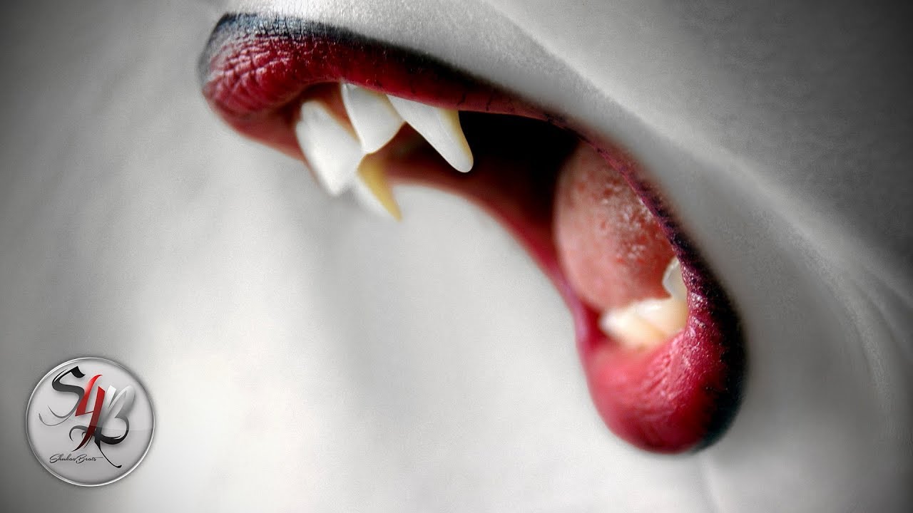 Cyanide Killingz - Always Talking [Audio] / Prod. by Shuka4Beats | Hip Hop & Rap Song