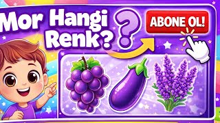Bu Hangi Renk? 💜 Mor! | Çocuklar İçin Renk Öğrenme Oyunu screenshot 4