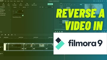 How to Reverse a Video in Filmora
