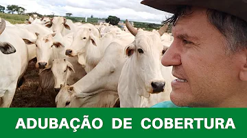 Como é feita a adubação de cobertura nas pastagens?