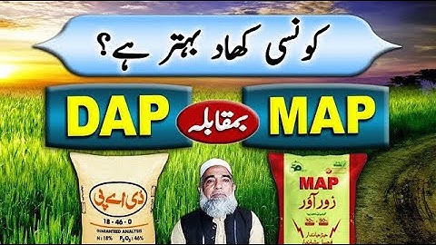 DAP vs MAP || Which is better fertilizer || Crop Reformer