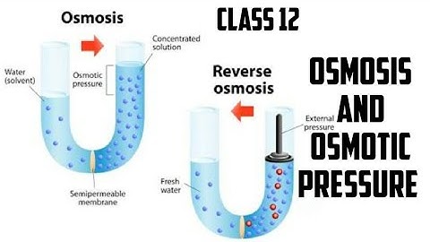 Osmosis and Osmotic Pressure | lecture 12 | Ncert | class 12 | animation