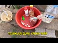 Tavukları Gurk Yapan Tarif - BAŞKA YERDE YOK