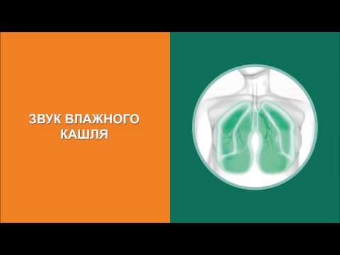 Videó: Herbion Borostyánszirup - Utasítások, Használat A Gyermekek Számára, Vélemények, ár