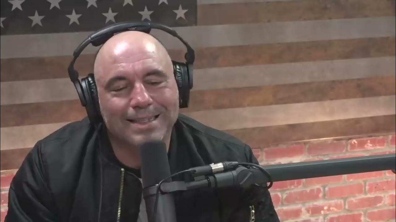 Joe Rogan Mushrooms Used Us to Manifest Reality YouTube