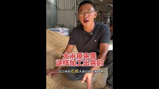 20251012-一颗稻谷是怎么变成大米的？进入米厂和大哥学习了一番，又涨知识了
