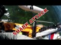 MONSTER Bull Shark Attacks Kayak