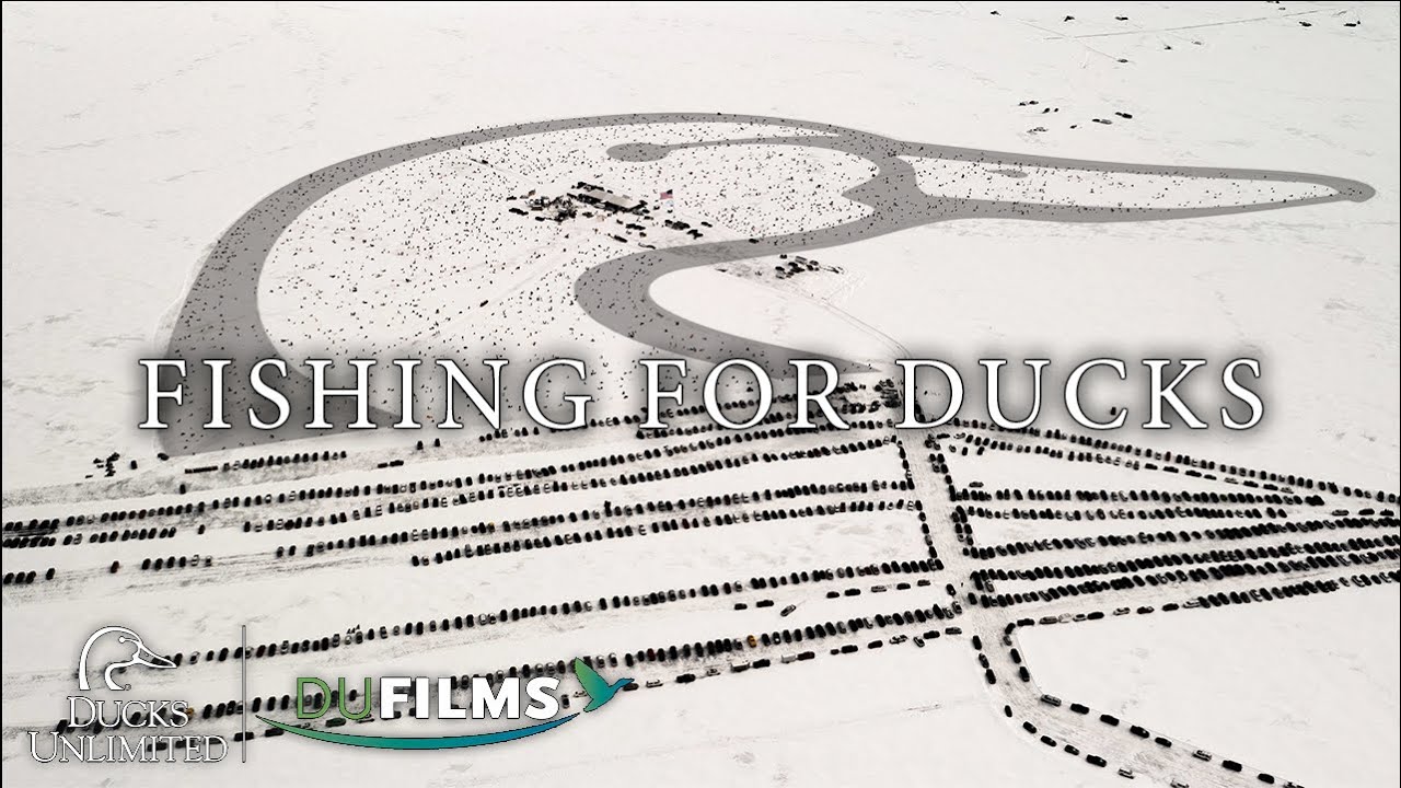 Fishing For Ducks  S8E5, DU Films 