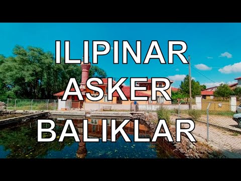 Çankırı Atkaracalar Ilıpınar Asker Balıklar - Dr. Murat