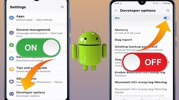 How to Enable Or Disable Developer Options on Any Android (Update 2024)